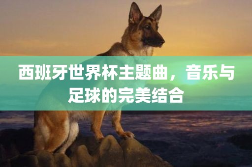 西班牙世界杯主题曲，音乐与足球的完美结合眉山市正发家政服务有限公司