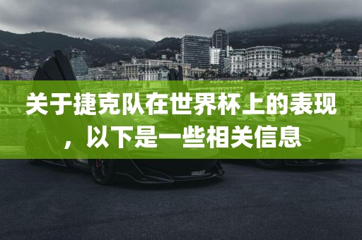 关于捷克队在世界杯上的表现眉山市正发家政服务有限公司，以下是一些相关信息