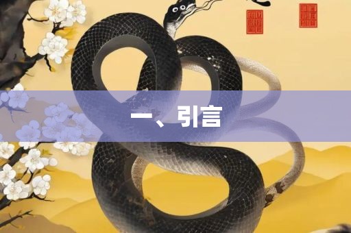 一、引言眉山市正发家政服务有限公司