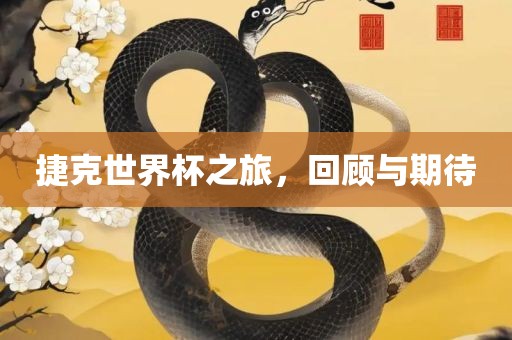捷克世界杯之旅，回顾与期待眉山市正发家政服务有限公司