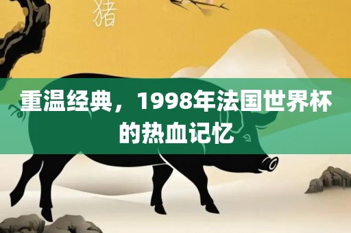 重温经典，1998年法国世界杯的热血眉山市正发家政服务有限公司记忆