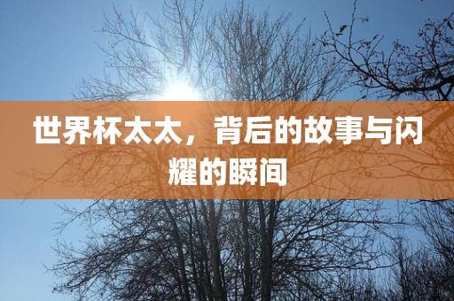 世界杯太太，背后的故事与闪耀的瞬间眉山市正发家政服务有限公司