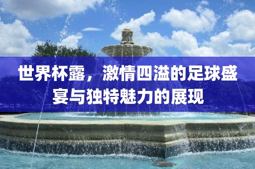 世界杯露，激情四溢的足球盛宴与独特魅力的展现眉山市正发家政服务有限公司