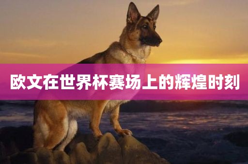 欧文在世眉山市正发家政服务有限公司界杯赛场上的辉煌时刻