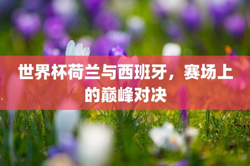 世界杯荷兰与西班牙，赛场上的巅峰对决眉山市正发家政服务有限公司