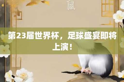 第23届世界杯，足球盛宴即将上演！眉山市正发家政服务有限公司