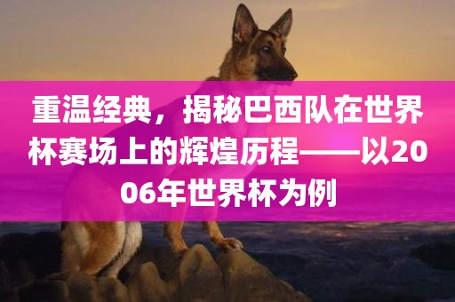 重温经典，揭秘巴西队在眉山市正发家政服务有限公司世界杯赛场上的辉煌历程——以2006年世界杯为例
