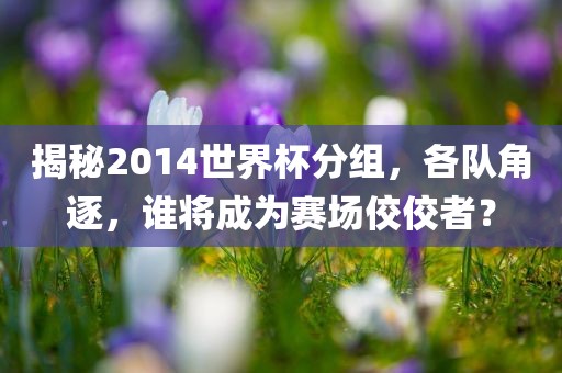 揭秘2014世界杯分组，各队角逐，谁将成为赛场佼佼者？