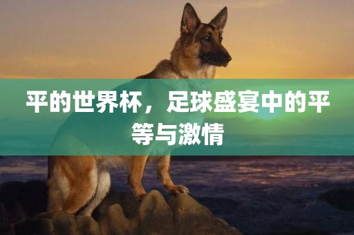 平的世界杯，足球盛宴中的平等与激情眉山市正发家政服务有限公司