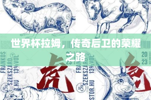 世界杯拉姆，传奇后卫的荣耀之路眉山市正发家政服务有限公司