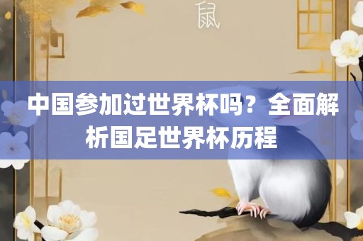 中国参眉山市正发家政服务有限公司加过世界杯吗？全面解析国足世界杯历程