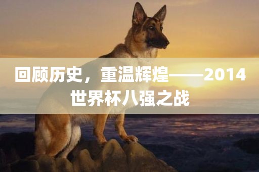 回顾历史，重温辉煌——2014世界杯八强之战