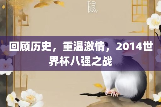 回顾历史，重温激情，2014世界杯八强之战