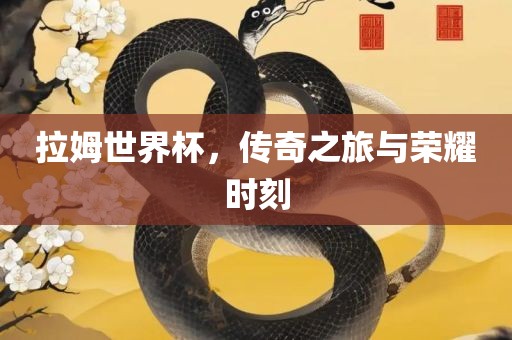 拉姆世界杯眉山市正发家政服务有限公司，传奇之旅与荣耀时刻