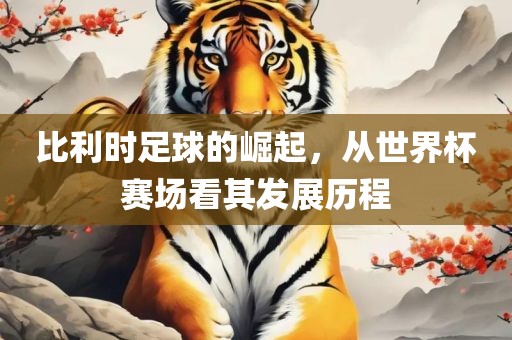 比利时足球的崛起，从世界杯赛场看其发展历程