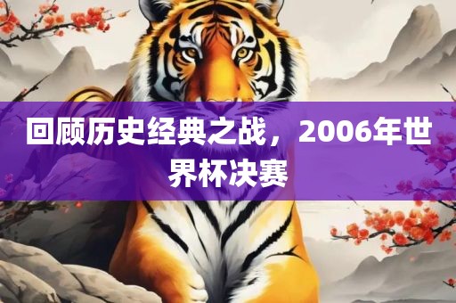 回顾历史经典之战，2006年世界杯决赛眉山市正发家政服务有限公司