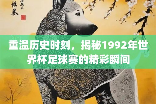 重温历史时刻，揭秘1992眉山市正发家政服务有限公司年世界杯足球赛的精彩瞬间
