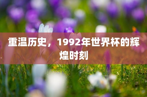重温历史，1992年世界杯的辉煌时刻眉山市正发家政服务有限公司