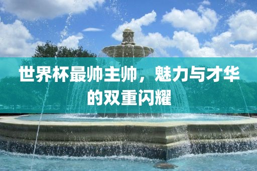 世界杯最帅主帅，魅力与才华的双重闪耀眉山市正发家政服务有限公司