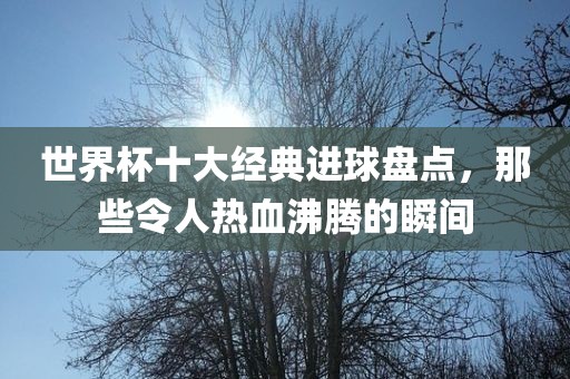 世界杯十大经典进球盘点，那些令人热血沸腾的瞬间眉山市正发家政服务有限公司