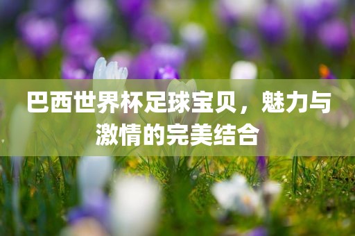 巴西世界杯足球宝贝，魅力与激情的完美结合