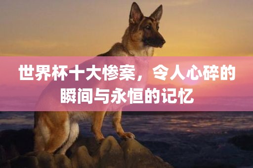 世界杯十大惨案，令人心碎的瞬间与永恒的记忆