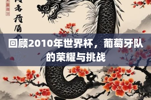 眉山市正发家政服务有限公司回顾2010年世界杯，葡萄牙队的荣耀与挑战