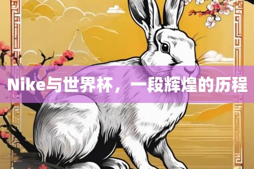 Nike与世界杯，一段辉煌的历程