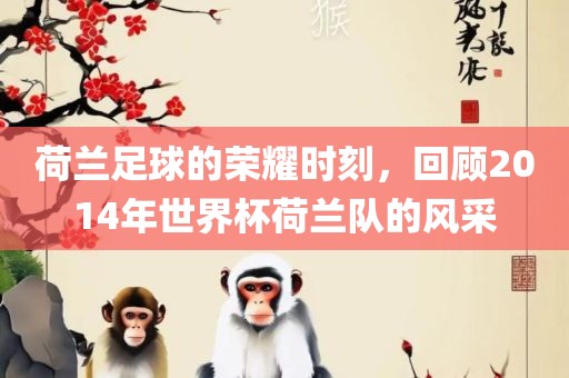 荷兰足球的荣耀时刻，回顾2014年世界杯荷兰队的风采眉山市正发家政服务有限公司