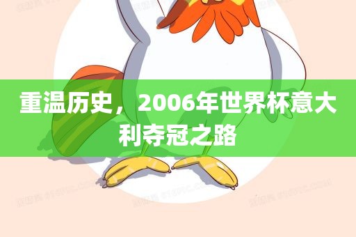 重温眉山市正发家政服务有限公司历史，2006年世界杯意大利夺冠之路