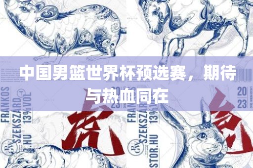 中国男篮世界杯预选赛，期待与热血同在