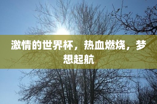 激情的世界杯，热血燃烧，梦想起航眉山市正发家政服务有限公司