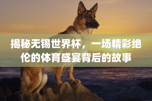 揭秘无锡世界杯，一场精彩绝伦的体育盛宴背后的故事眉山市正发家政服务有限公司