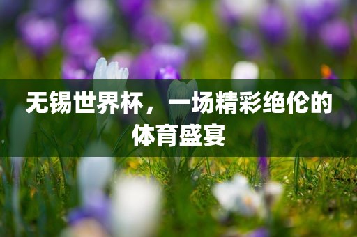 无锡世界杯，一场精彩绝伦的体育盛宴眉山市正发家政服务有限公司