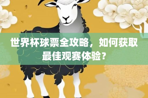 世界杯球票全攻略，如何获取最佳观赛体验？眉山市正发家政服务有限公司