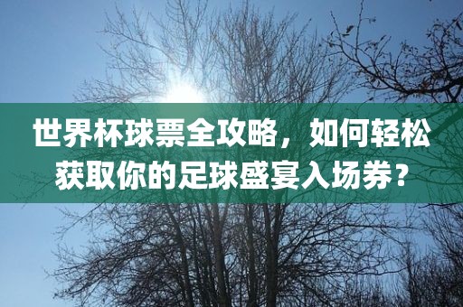 世界杯球票全攻略，如何轻松获取你的足球盛宴入场券？