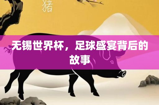 无锡世界杯，足球盛宴背后的故事眉山市正发家政服务有限公司