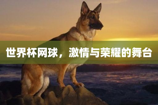 世界杯网球，激情与荣耀的舞台眉山市正发家政服务有限公司