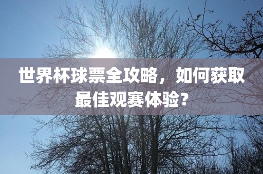 世界杯球票全攻略，如何获取最佳观赛体验？