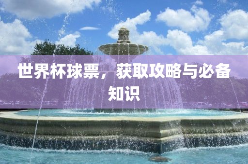 世界杯球票，获取攻略与必备知识眉山市正发家政服务有限公司
