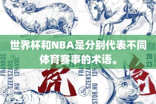 世界杯和NBA是分别代表不同体育赛事的术语。