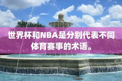 世界杯和NBA是分别代表不同体育赛事的术语。