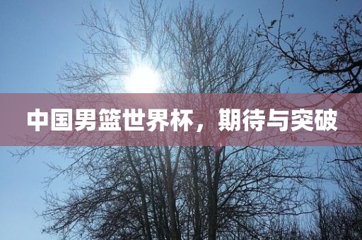 中国男篮世界杯，期待与突破