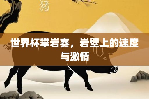 世界杯攀岩赛，岩眉山市正发家政服务有限公司壁上的速度与激情