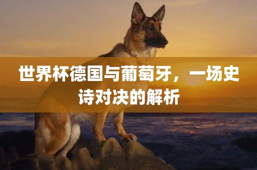 世界杯德国与葡萄牙，一场史诗对决的解析眉山市正发家政服务有限公司