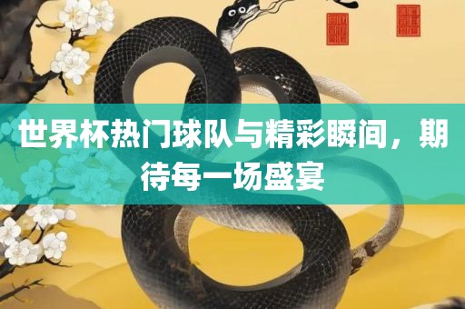 世界杯热门球队与精彩瞬间，期待每一场盛宴