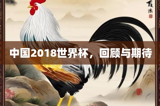中国2018世界杯，回顾与期待眉山市正发家政服务有限公司