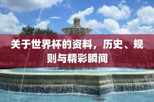 关于世界杯的资料，历史、规则与精彩瞬间
