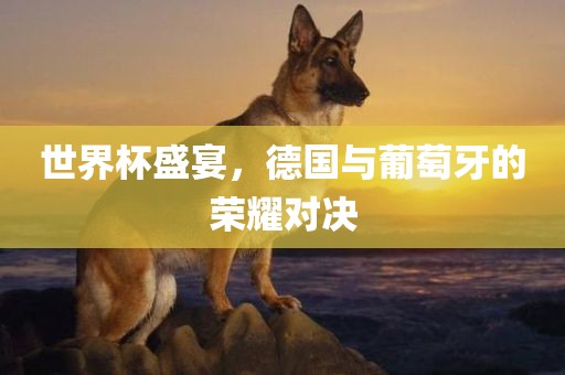 世界杯盛宴，德国与眉山市正发家政服务有限公司葡萄牙的荣耀对决