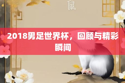 2018男足世界杯，回顾与精彩瞬间